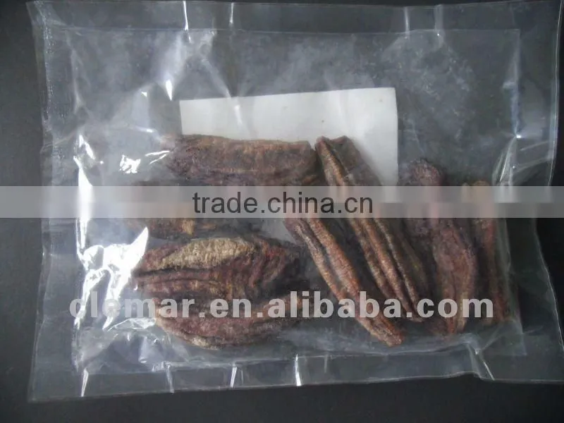 Vegetable/apple/fruit mesh belt dryer