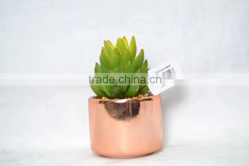 Mini Artificial succulent plants with plastic pot for indoor decoration