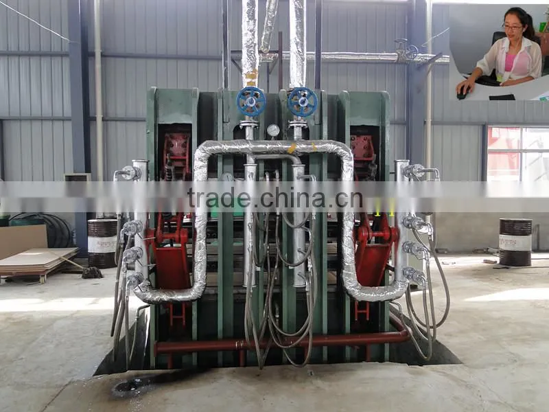 Wooden molded door hot press machine/Mould plate/Full automatic production line