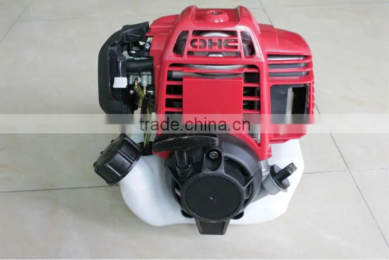 Knapsack Gaoline Power Sprayer 2/4-Stroke 900Tank
