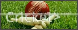 colored artificial grass yarn for artificial grass