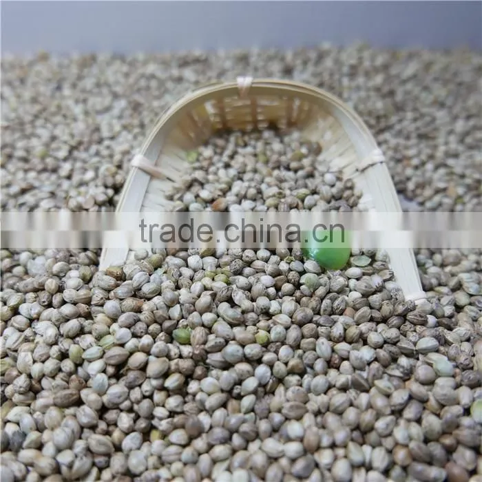 Hemp Seeds for sale