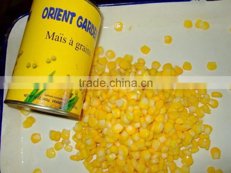 Canned Sweet corn kenels kenel fruit vegetable supplier for Russia