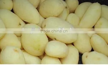 all in one potato peeler and slicer