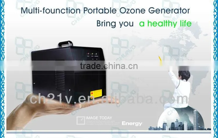 Stronger Sterilizer 2-6G Portable Ozone Machine For Air Purifier And Water Treatment