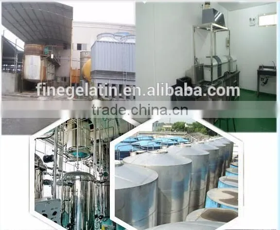 Industrial bovine gelatin used for match head