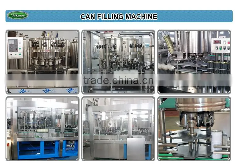 Beer Can Filling Seaming Machine