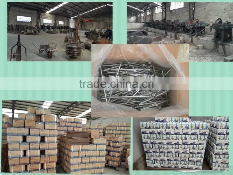 Best selling Polished Common Nails with Loose Package from china supplier