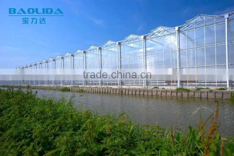 BaoLiDa pc shed greenhouse hot-dip galvanized steel pipe structure for roses