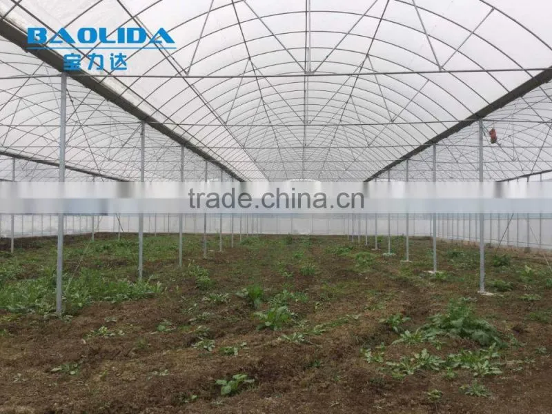 Greenhouse For Agriculture Farming