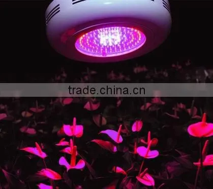 Plant Grow Light, Double Chips Super Bright Full Spectrum Hydroponic Plant Grow Lights for Indoor