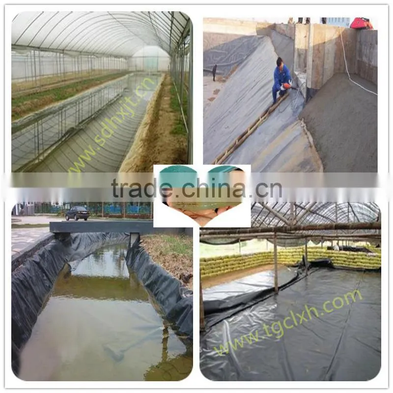 HDPE liner geomembrane for shrimp pond