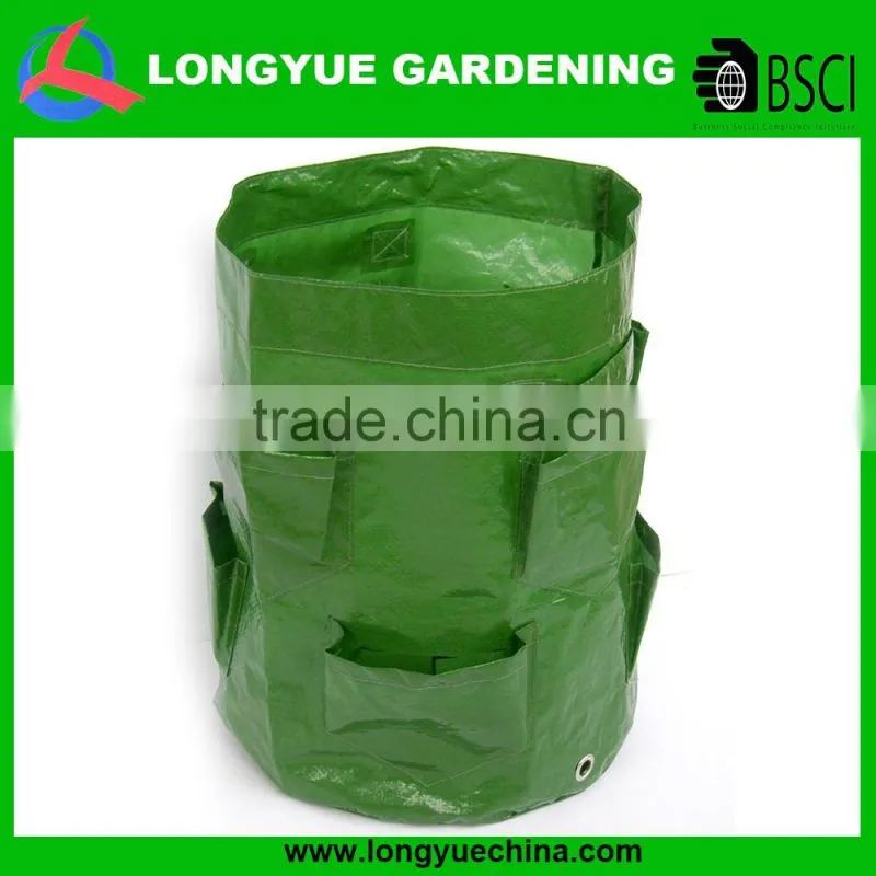 garden strawberry grow bag