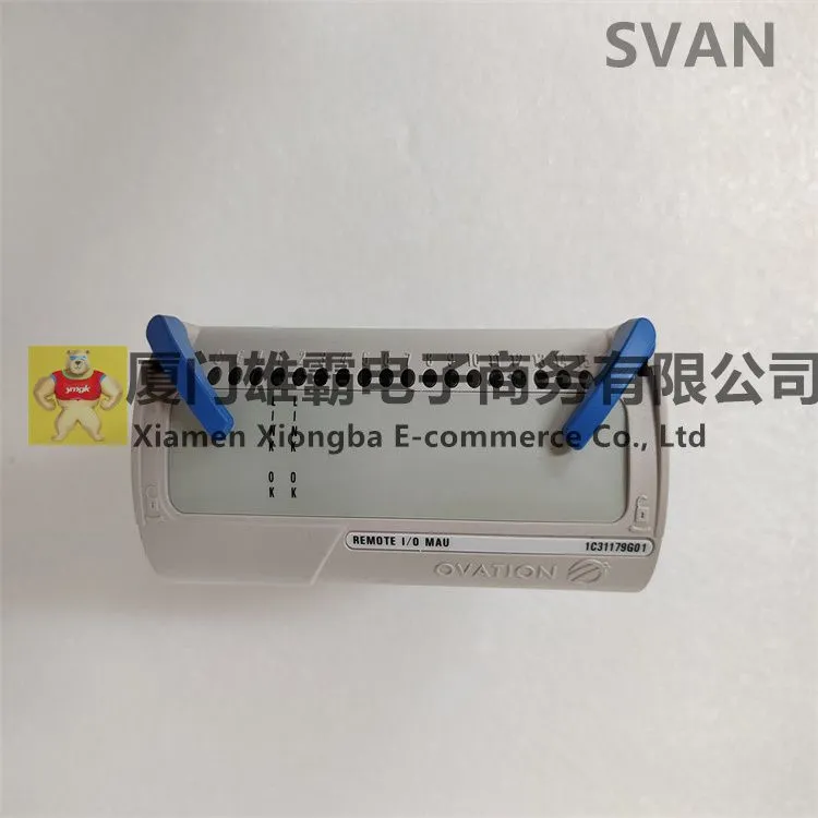 1C31179G01 (5).jpg