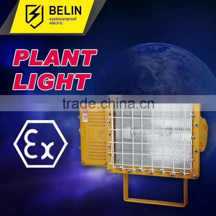 BFC8110 Explosion proof floodlight