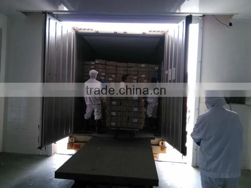 jack mackerel tin fish Horse Mackerel hot saleing overseas