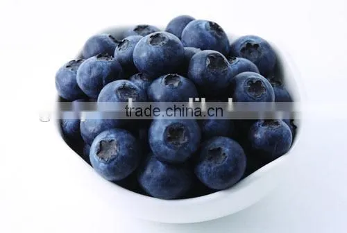 shanghai coffee bean classifier machine/soybean grading machine/blueberry grading machinery/blueberry sorting