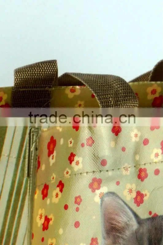 2014 Eco-friendly pp woven bag for shopping