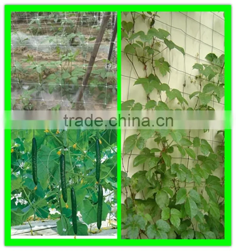 100% new material PE plastic tomato climbing net add UV additives