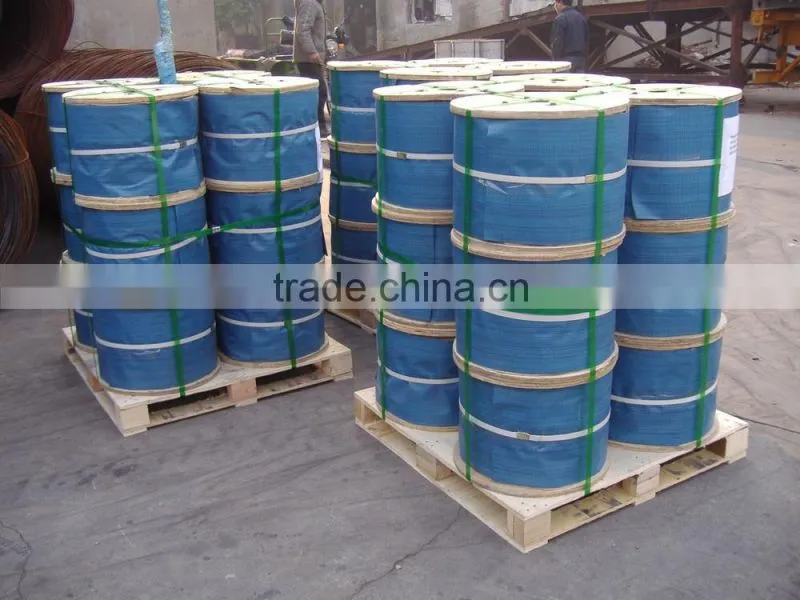 Electro Galvanized Steel Wire Rope