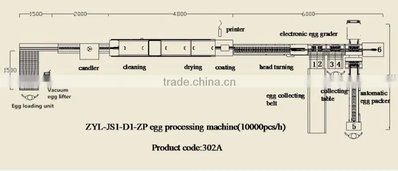worldwide egg farms use egg grading cleaning automatic packing machine