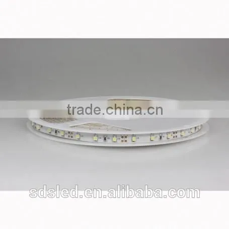 SDS LED Flexible Strip light IP33 SMD3528 60LED/m Cool White DC12V 8000K-12000K