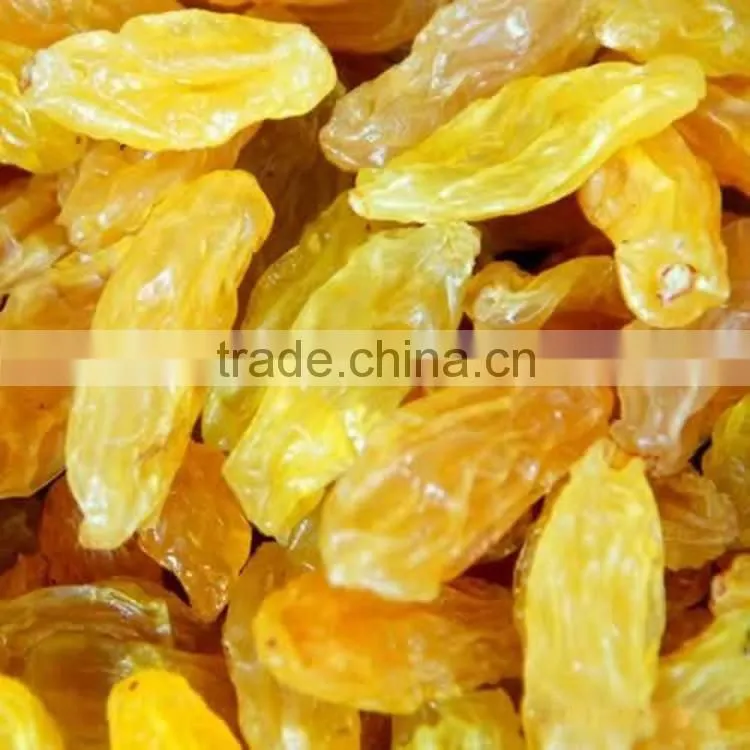 2015 new crop Best Quality Fruit Products Dried Golden Sweet Raisin