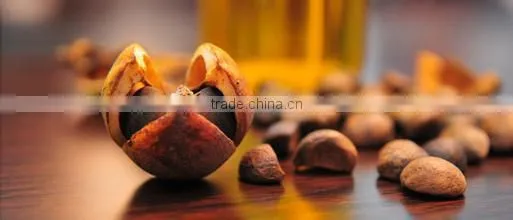 Chinese natural refined Organic Wild CAMELLIA SEED Oil,good for adding