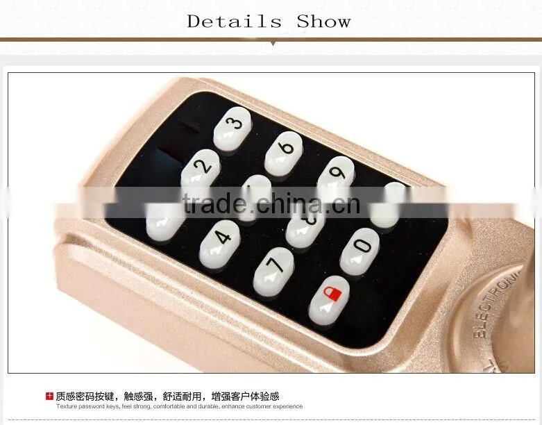 Ibutton Digital Door Lock Manufacturer