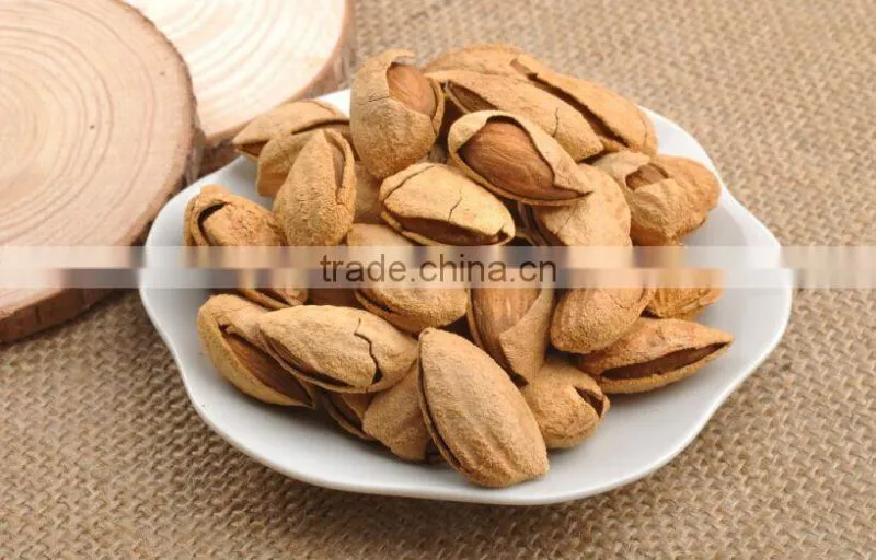 Chinese badam almond in shell with QS standard