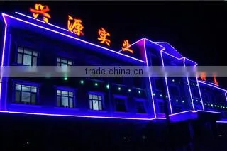 Xinji City Dingyuan Impex Co., Ltd. company overview - view 1