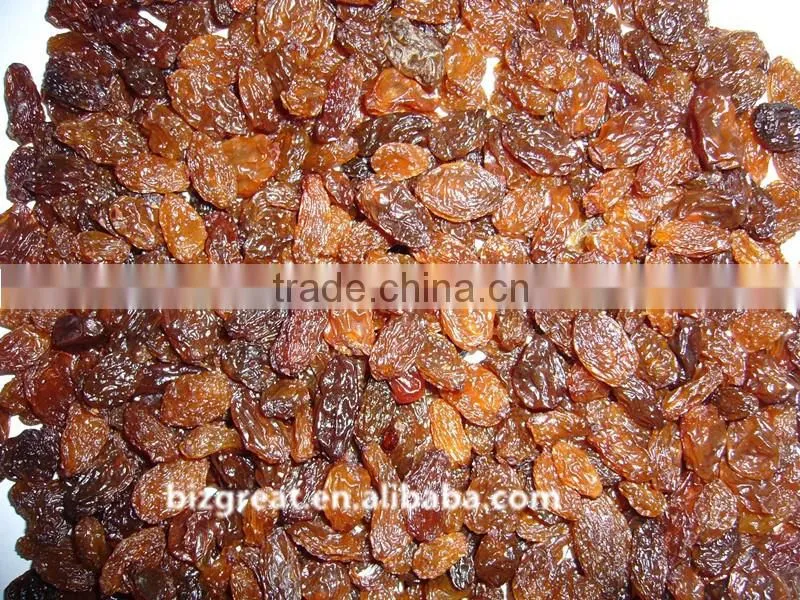 Good quality Chinese dried brown raisins for sale
