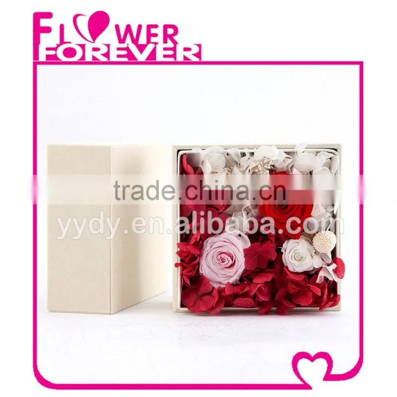 Best Valentine Gift Preserved Flower