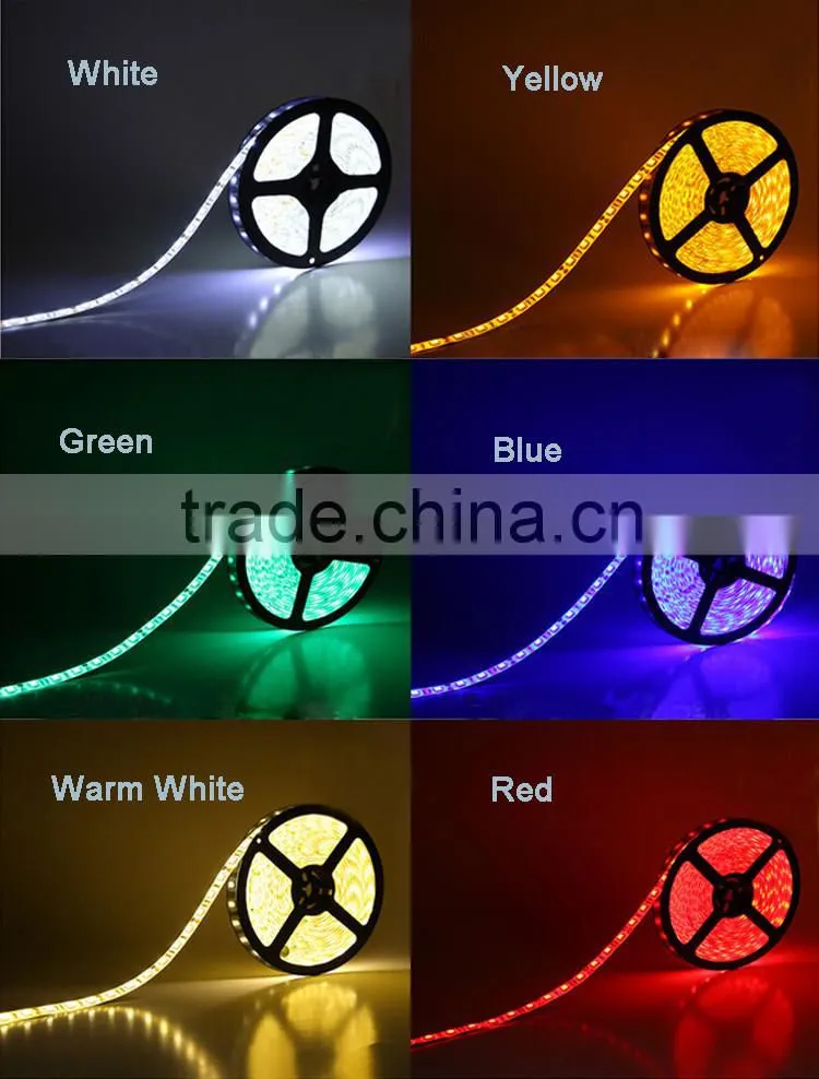 Shenzhen Ledcolourlight DC 24v DMX control rgb led strip light