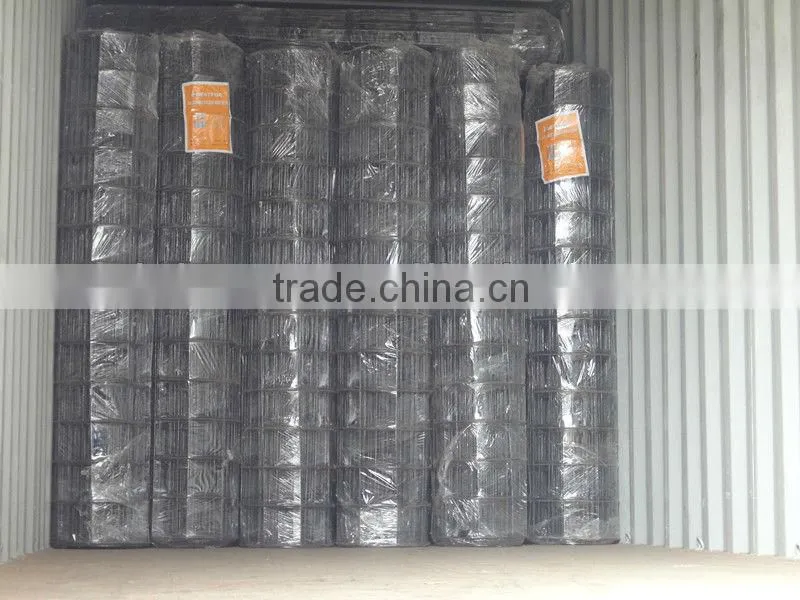 heavy gauge galvanized welded wire mesh factory