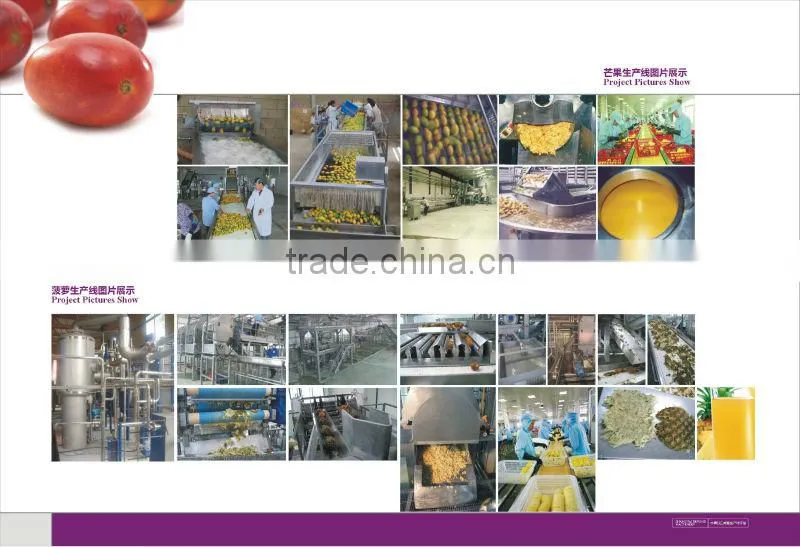 Complete Mango Fruit Processing Line