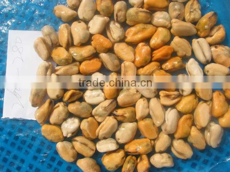 Frozen mussel meat