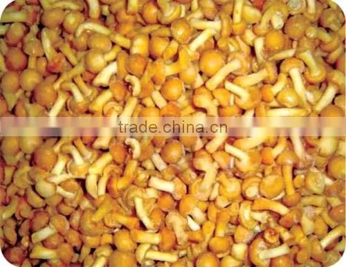 2014 Crop Frozen Nameko Mushroom(IQF)