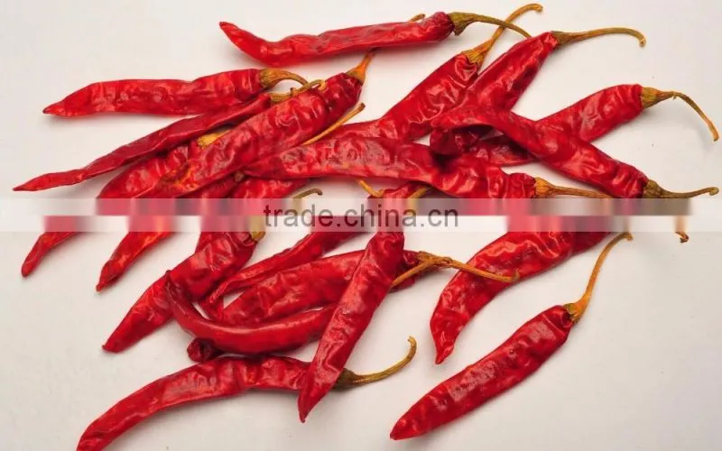 Exporters of Premium Grade Dried Red Chilli for Worldwide Importers