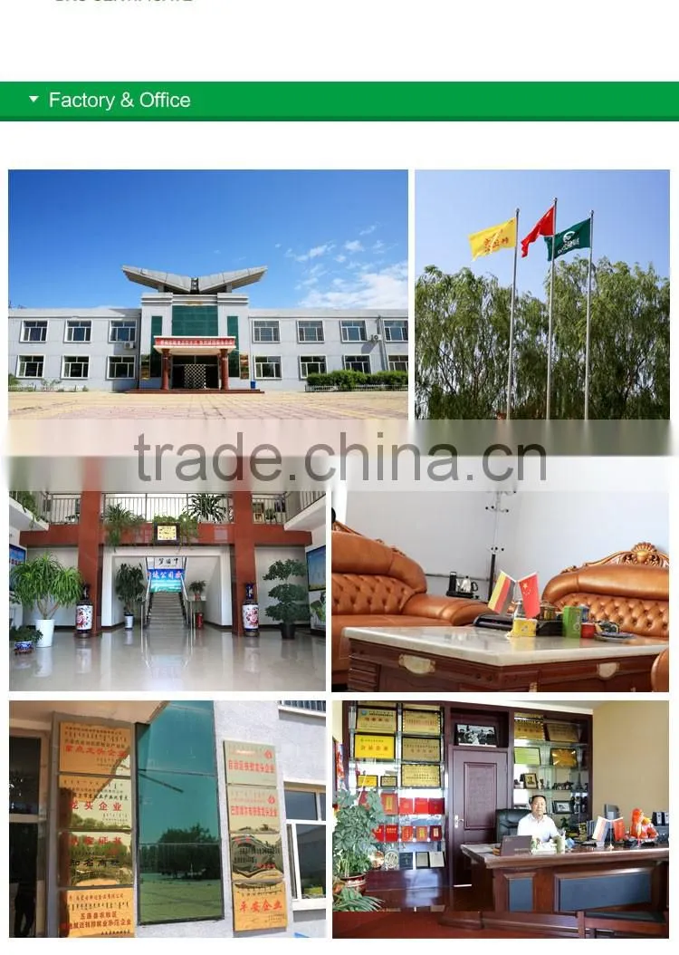 chinese bakery sunflower seeds kernel hot sale