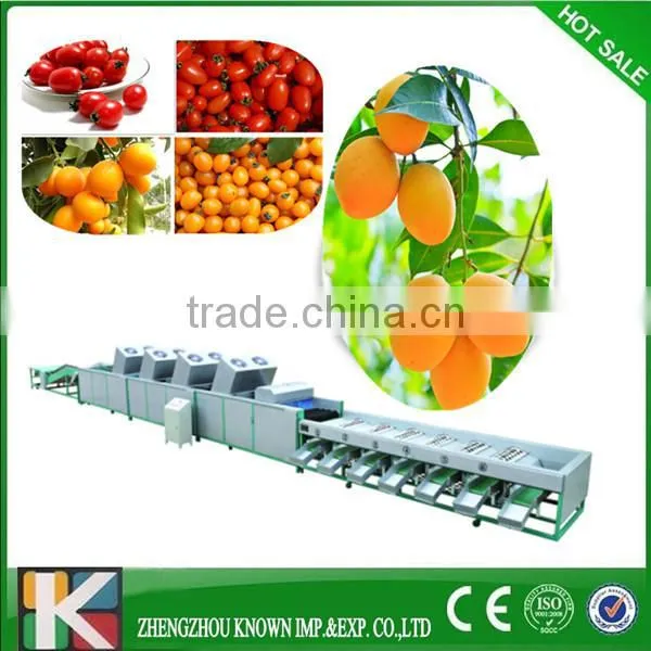 Garlic grading machine garlic grade potato sort machine