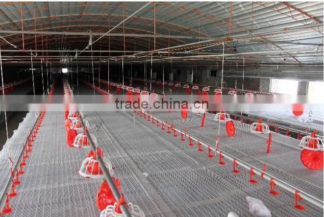 Automatic Poultry Feeding System/Auger Feed System For Poultry