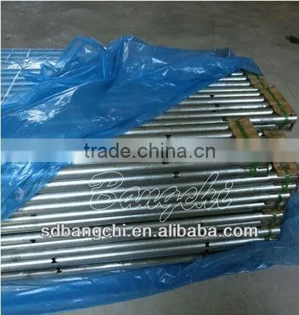 Poultry Automatic Feeding System