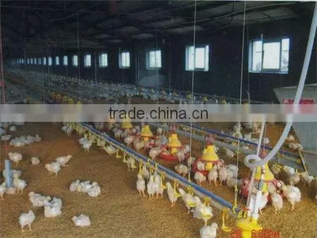 Poultry Feed line system