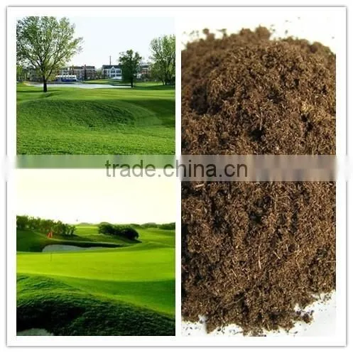 Natural and High Quality cheap peat moss Rich Soil Inprovement