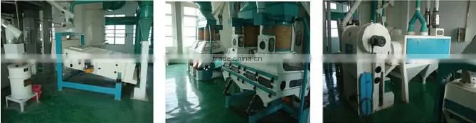 Low price 10T/24H wheat flour milling machines / wheat flour mill plant with price