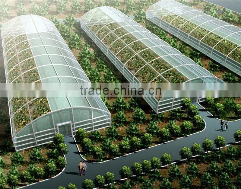 UV resistance flower greenhouses,farm hothouses, glasshouse big shed made in China