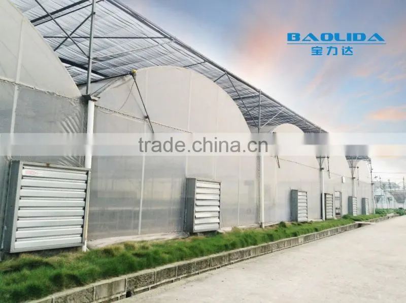 Factory price plastic covered commercial greenhouses
