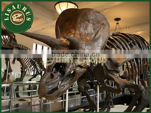 Lisaurus-0047 Buried Discovery Science Dinopark Dinosaurs Fossils Replica