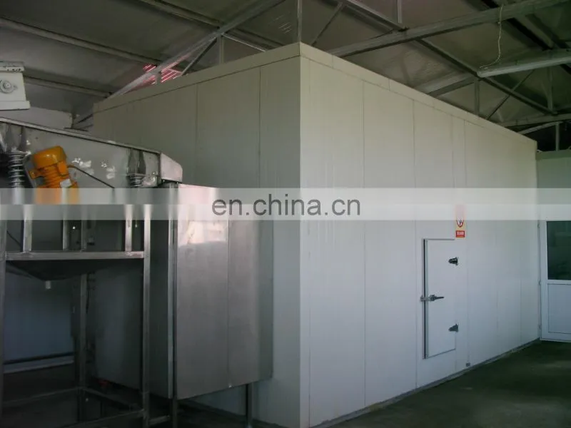 China Frozen Vegetable Production Line/Green Peas Quick Freezing Processing machine